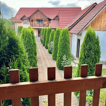 Pensiunea Casa Nina Cîrţişoara Exteriér fotografie