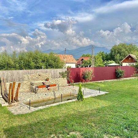 Pensiunea Casa Nina Cîrţişoara Exteriér fotografie