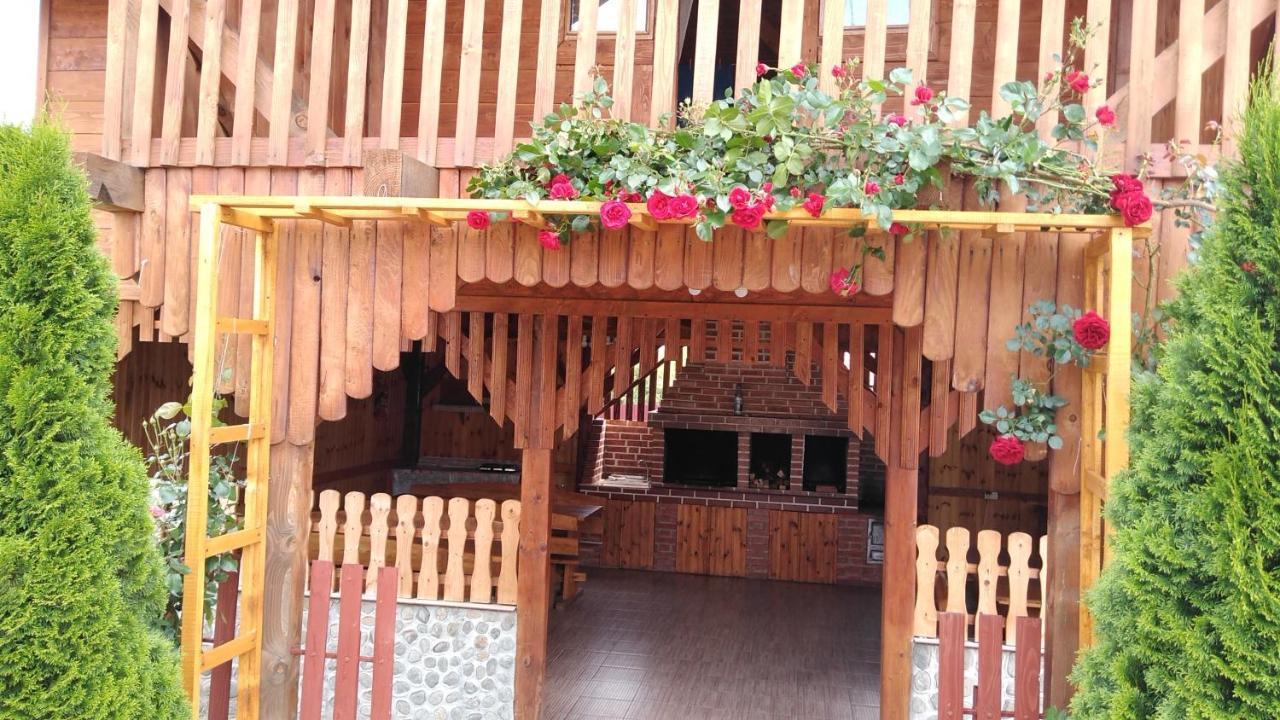 Pensiunea Casa Nina Cîrţişoara Exteriér fotografie