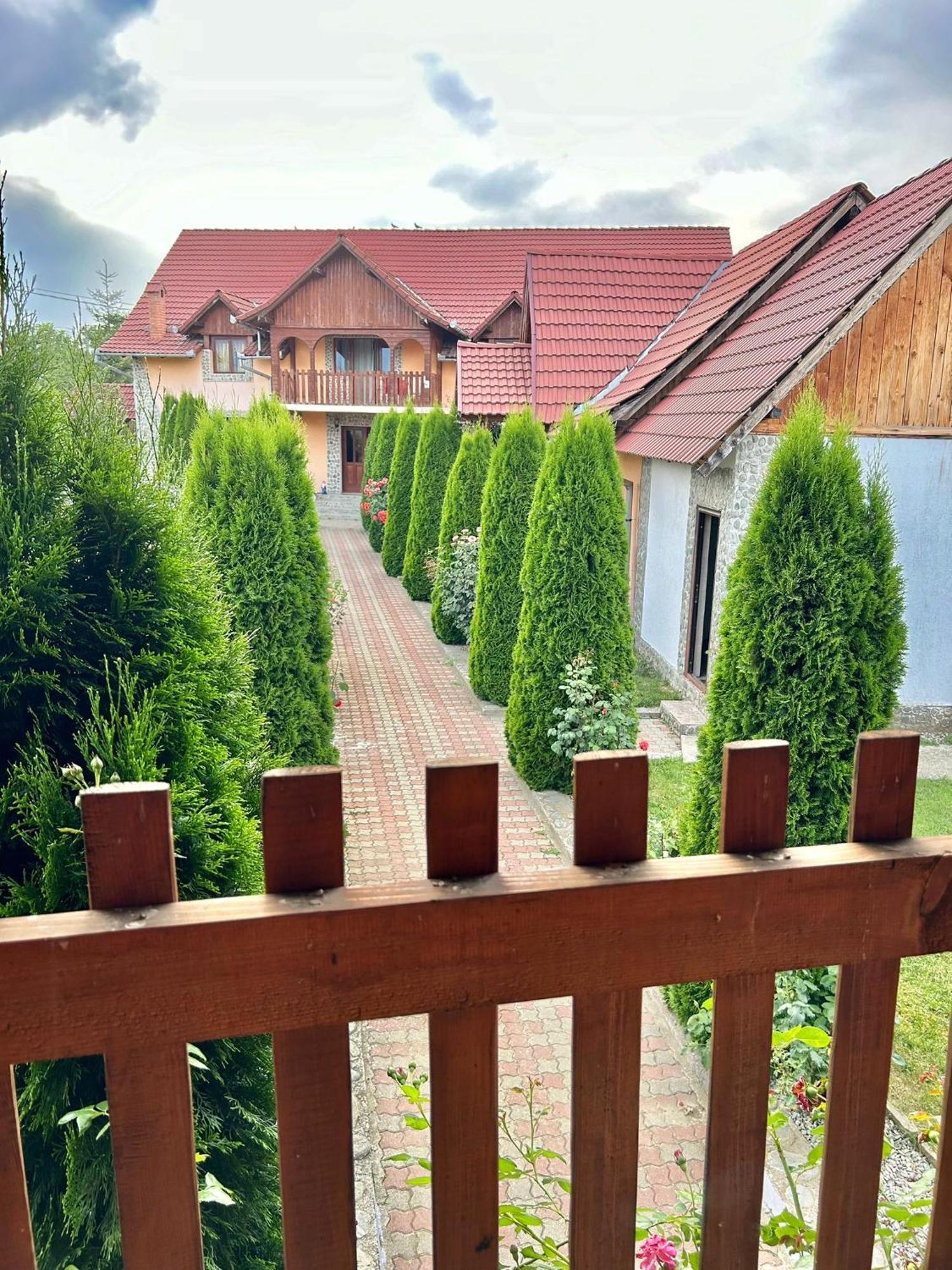 Pensiunea Casa Nina Cîrţişoara Exteriér fotografie