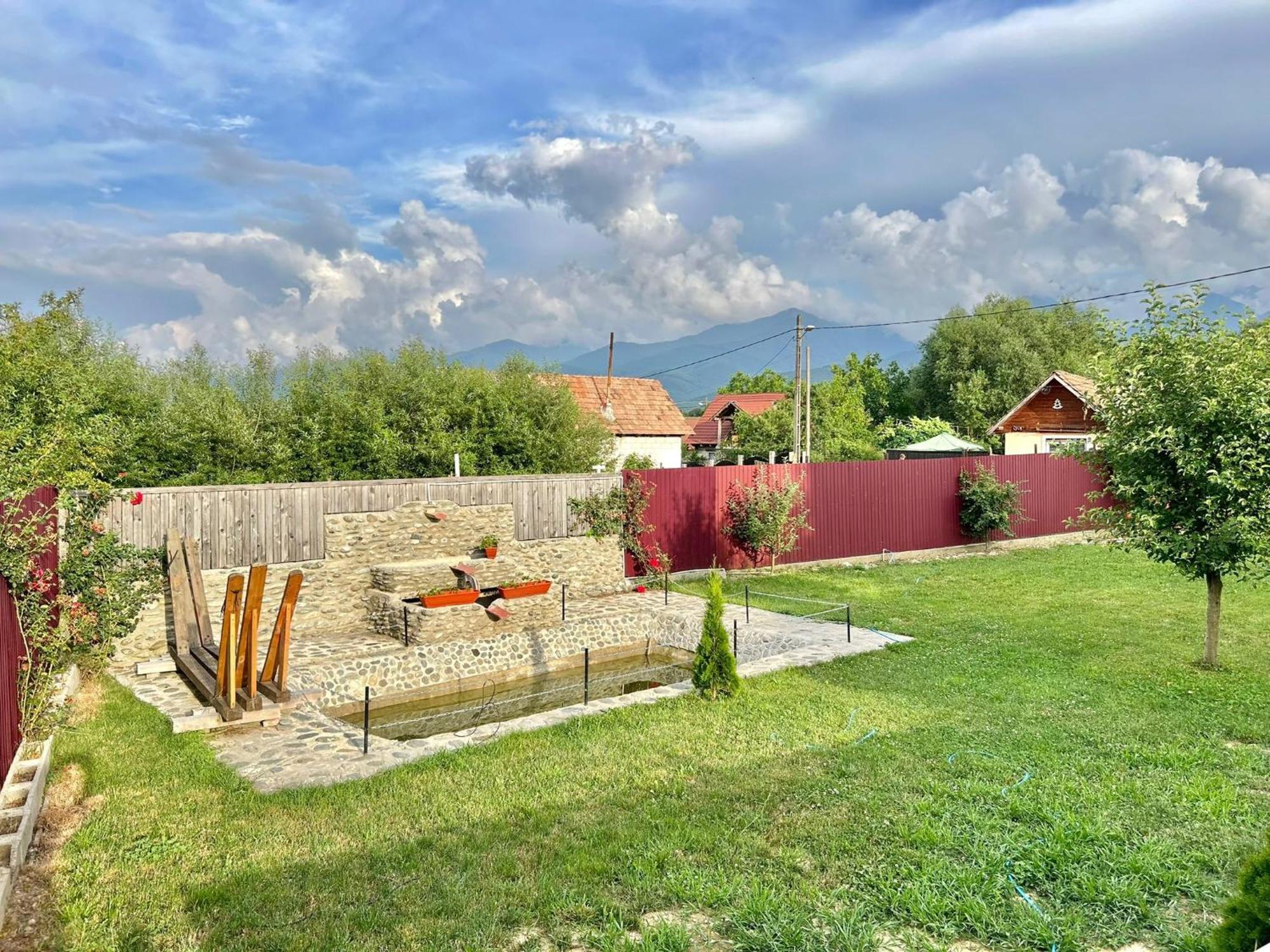 Pensiunea Casa Nina Cîrţişoara Exteriér fotografie