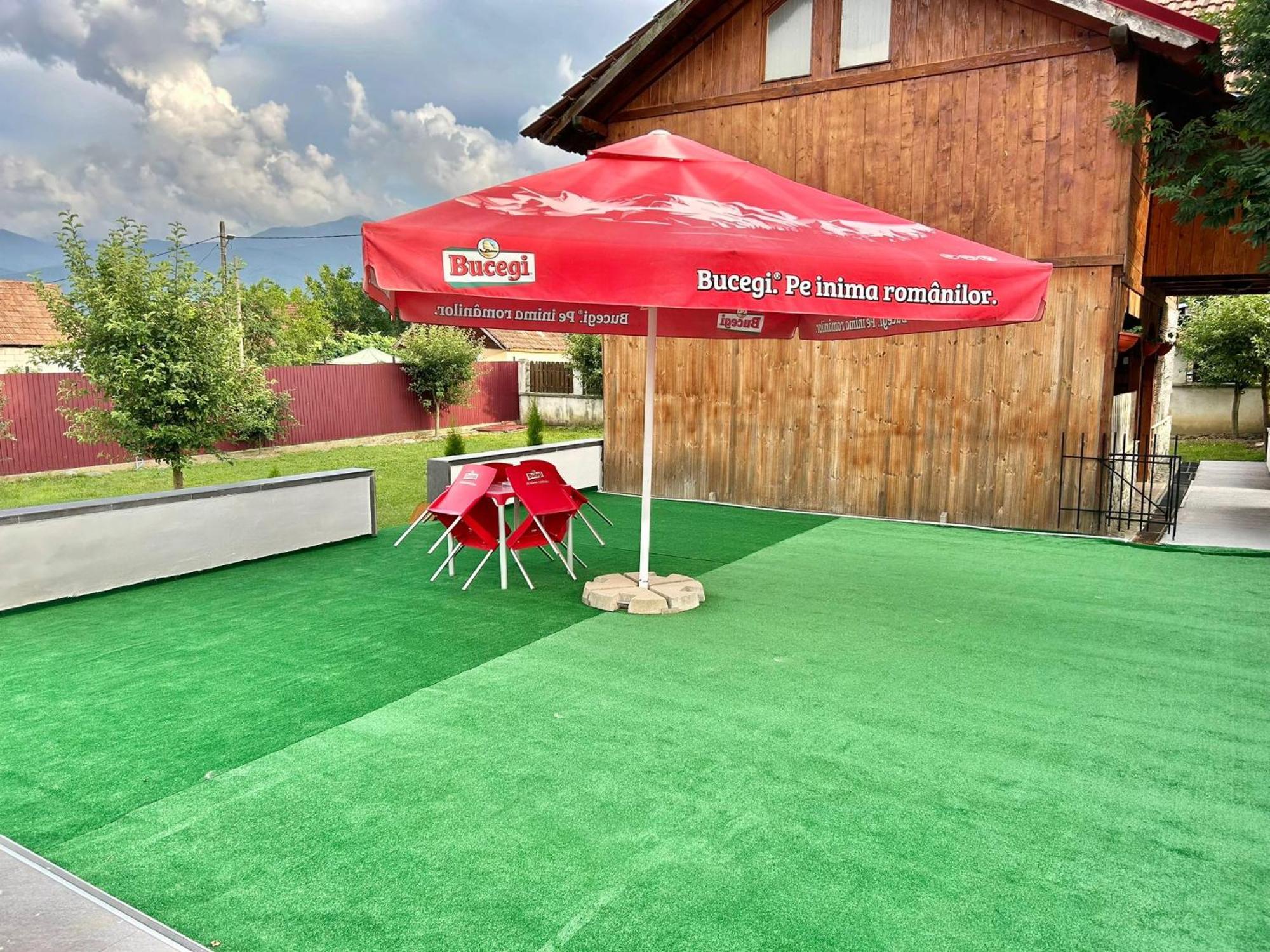 Pensiunea Casa Nina Cîrţişoara Exteriér fotografie