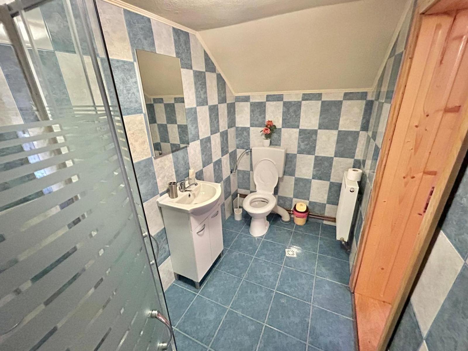 Pensiunea Casa Nina Cîrţişoara Pokoj fotografie