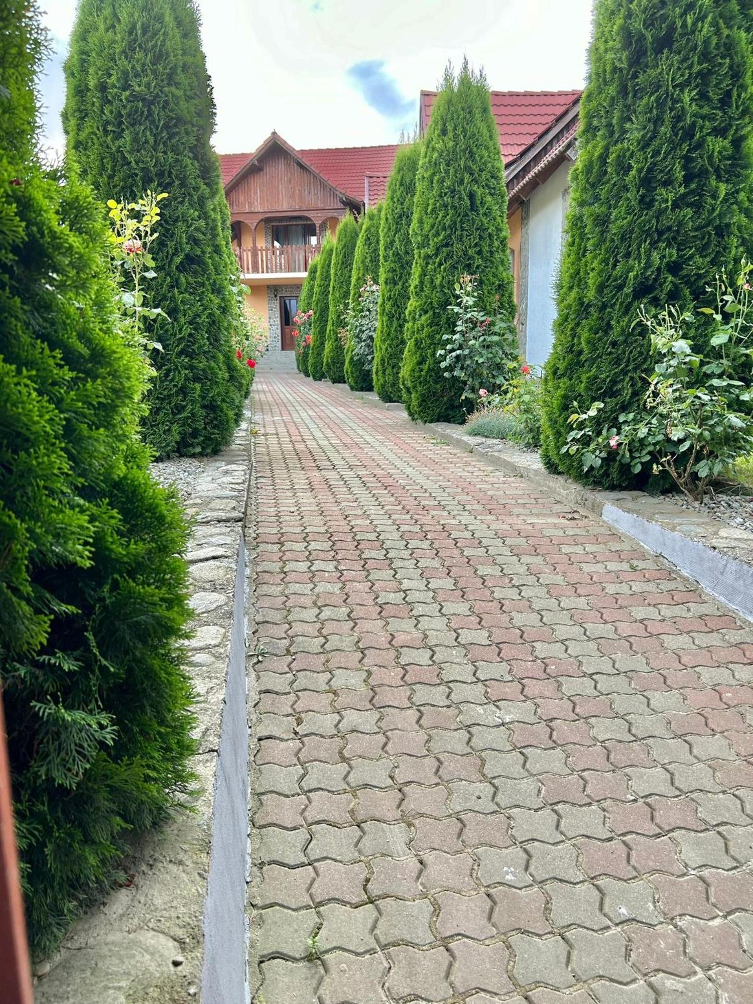 Pensiunea Casa Nina Cîrţişoara Exteriér fotografie