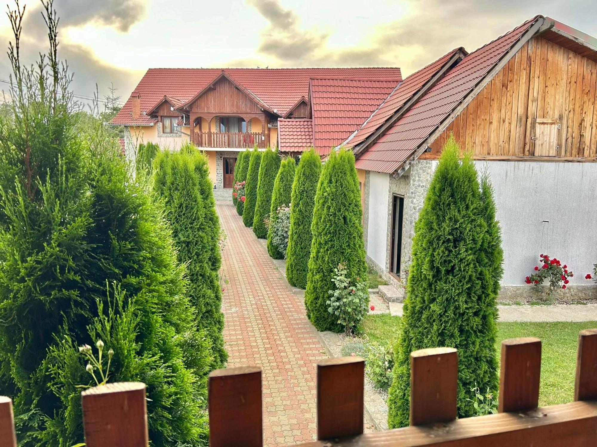 Pensiunea Casa Nina Cîrţişoara Exteriér fotografie
