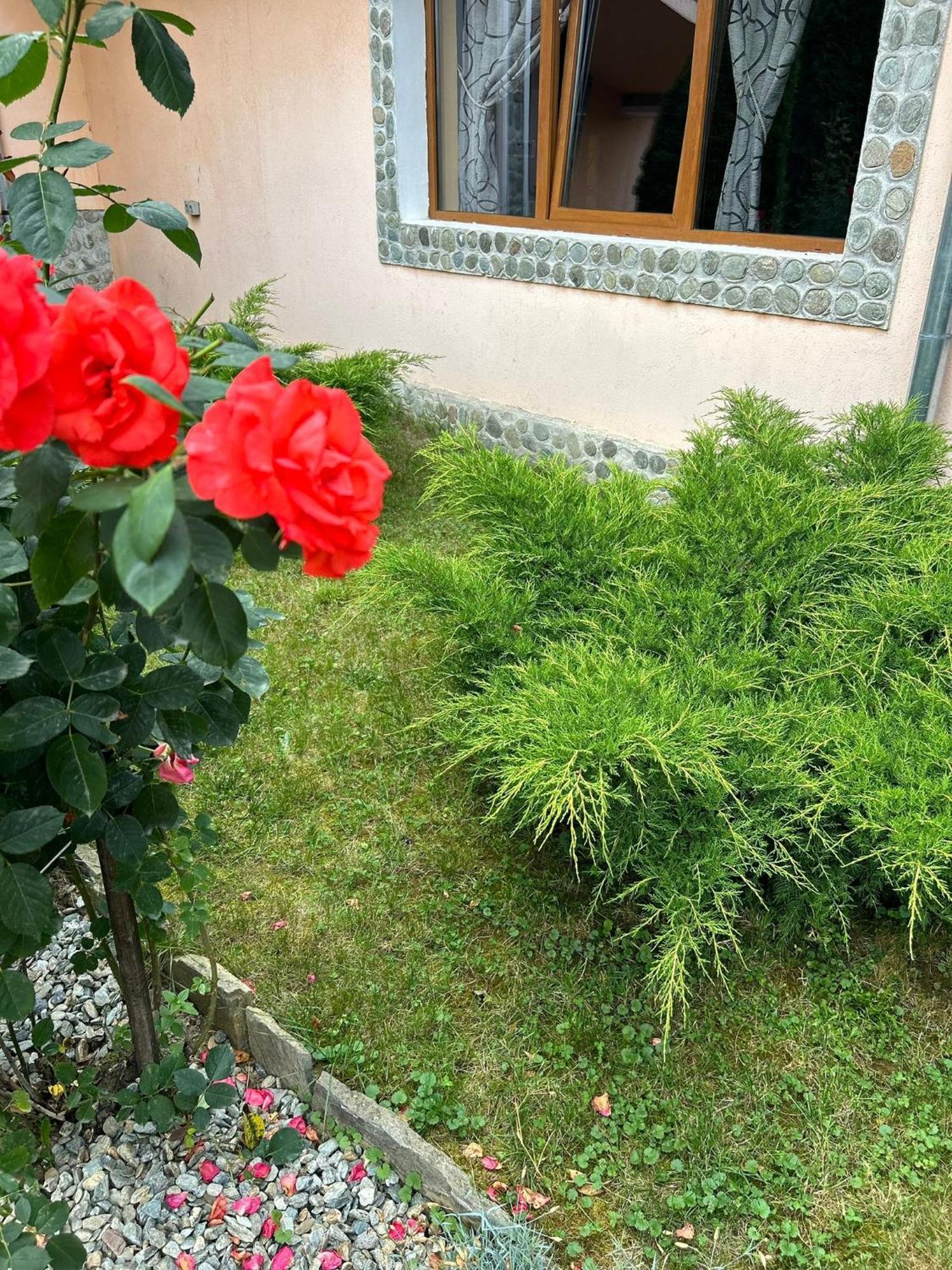 Pensiunea Casa Nina Cîrţişoara Exteriér fotografie
