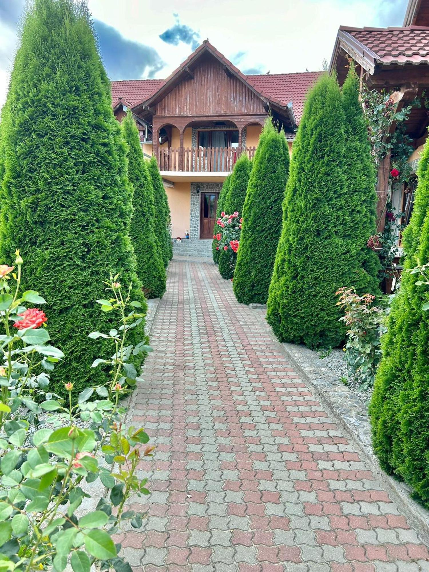 Pensiunea Casa Nina Cîrţişoara Exteriér fotografie