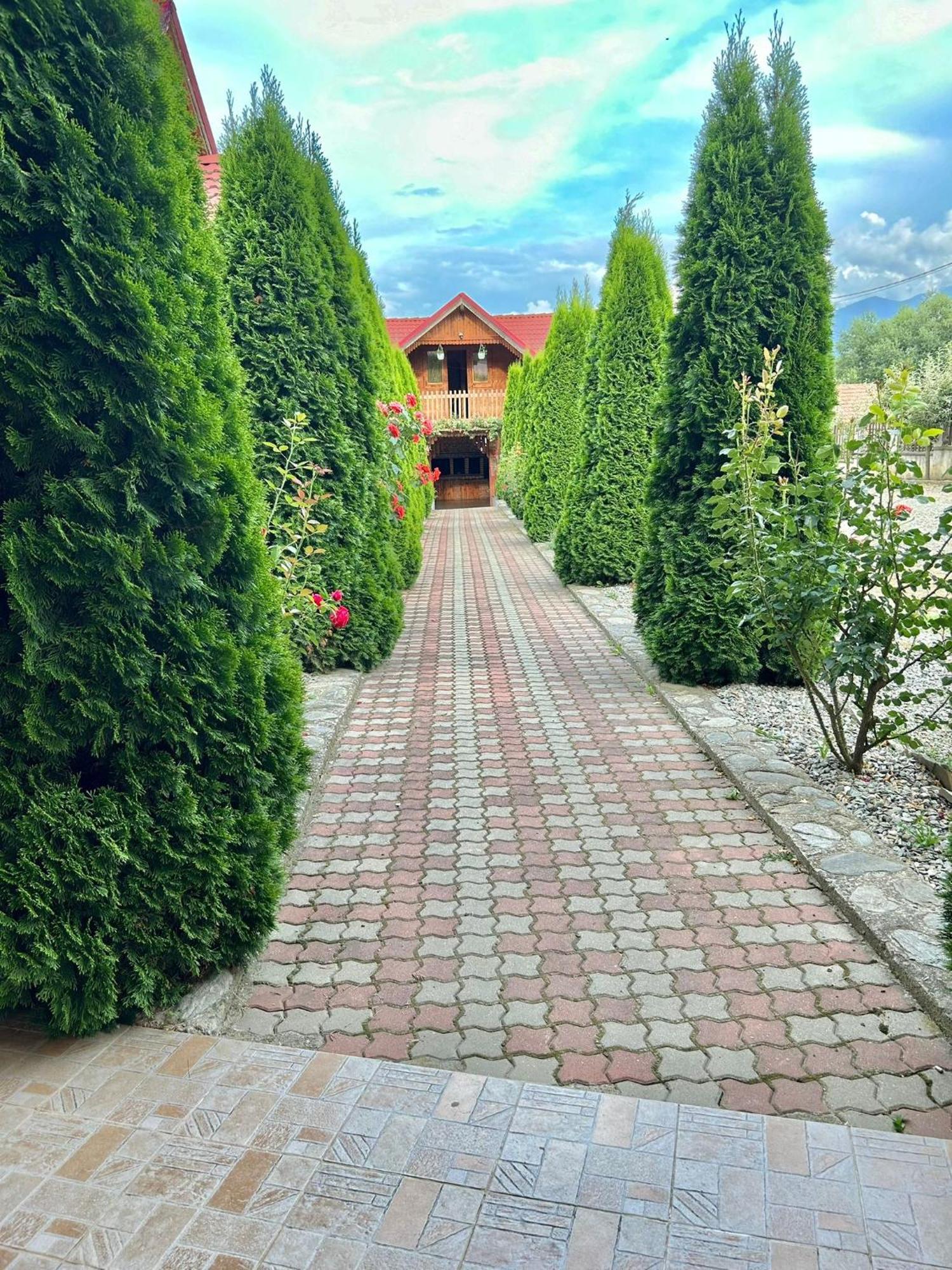 Pensiunea Casa Nina Cîrţişoara Exteriér fotografie